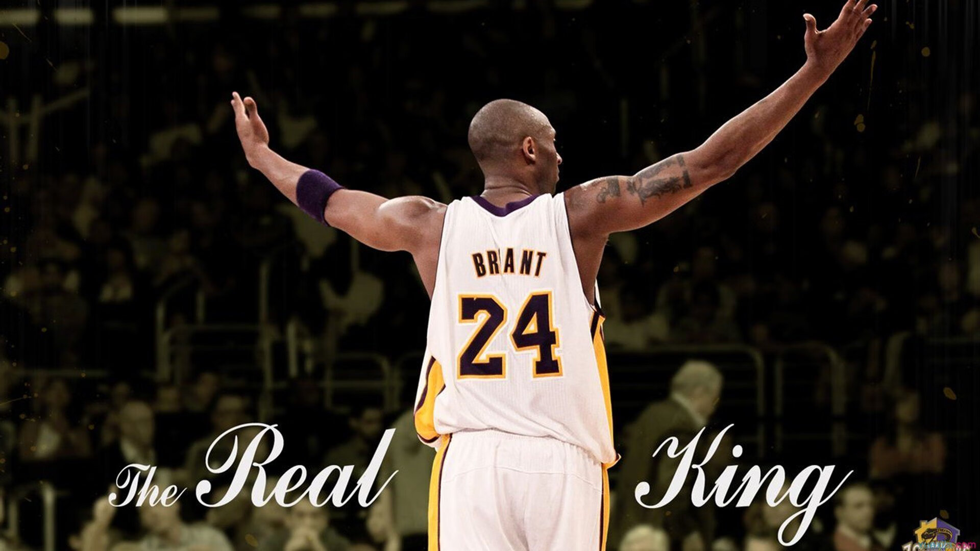 东契奇降维打击，当鹈鹕的锋线群遇上无解的魔法